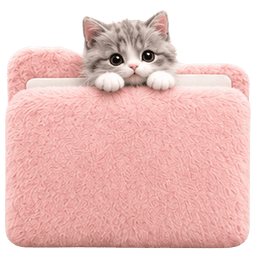 Gray tabby cat folder icon